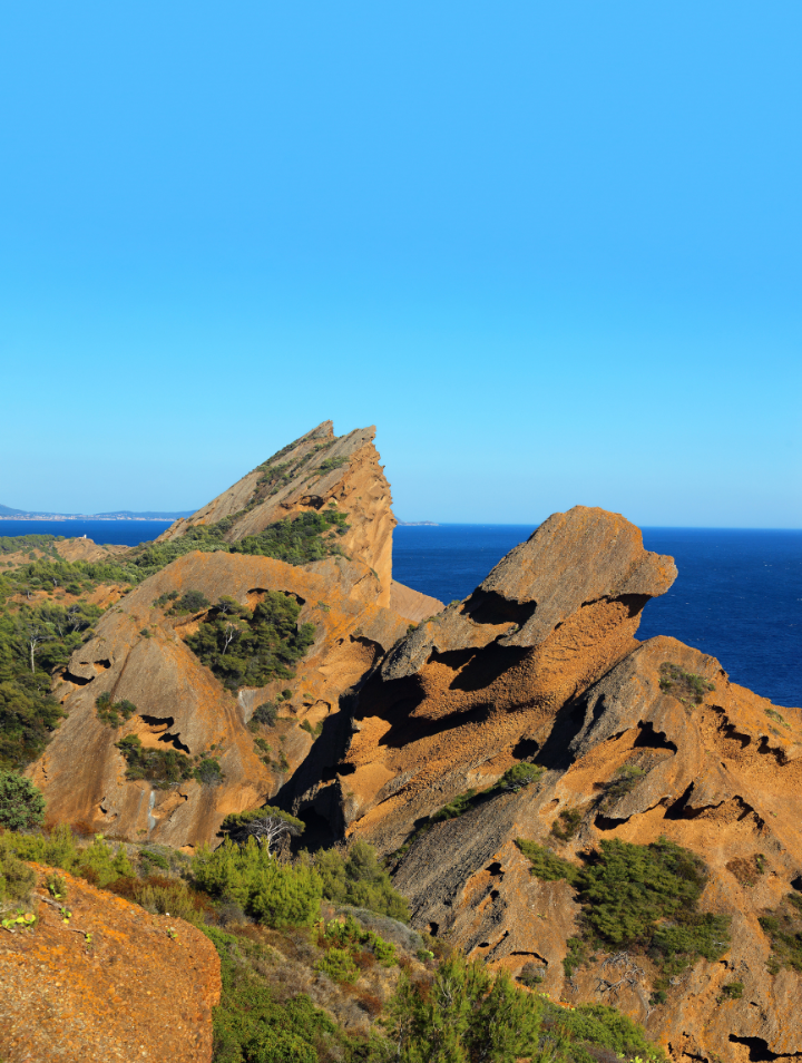 La Ciotat calanque location salle